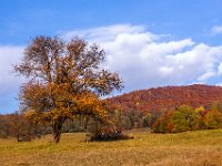 Beskid Niski